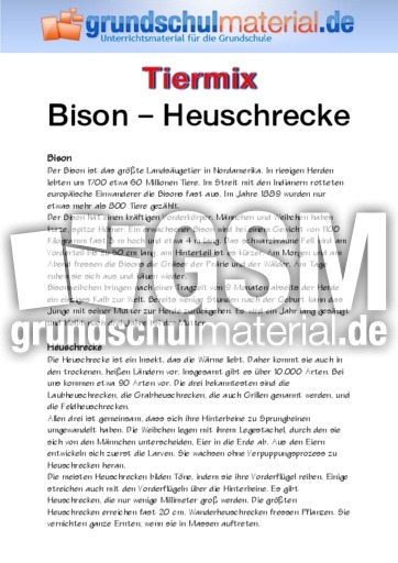 Bison - Heuschrecke.pdf